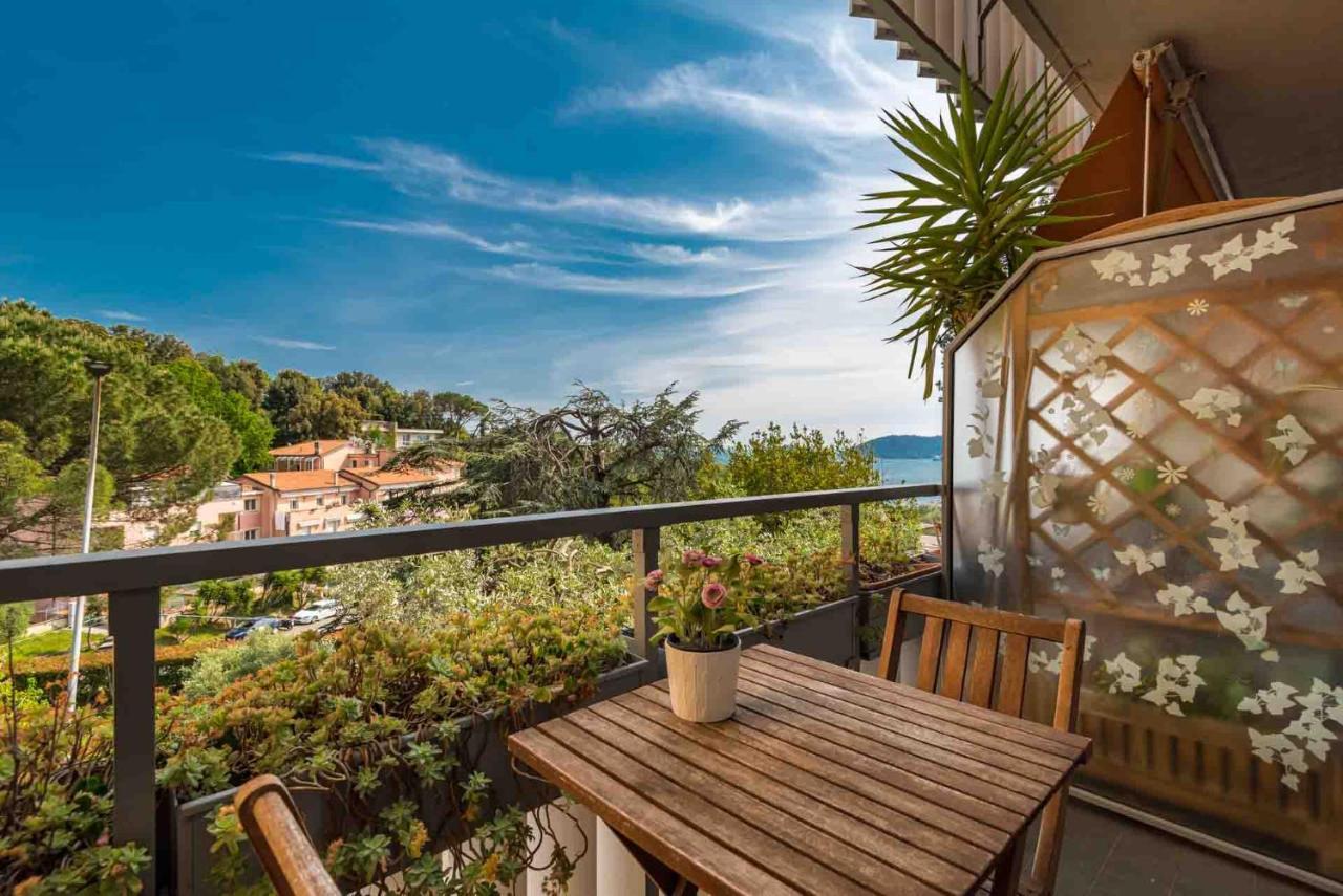 Le Petit Bleu, Terre Marine * Lerici